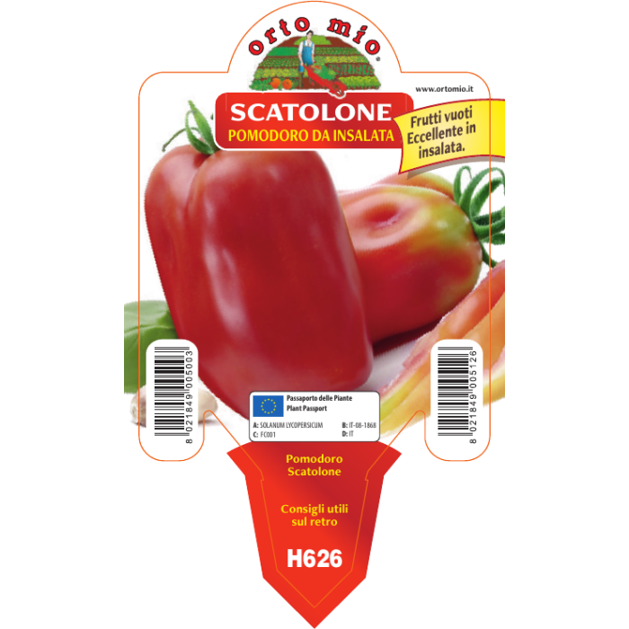 TOMATE SAN MARZANO HUECO var. SCATOLONE