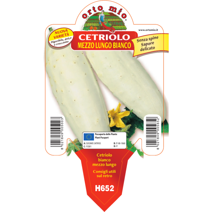 PEPINO BLANCO DIGERIBLE MEDIO LARGO var. ITACHI F1