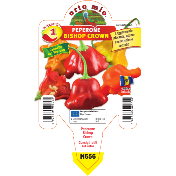PIMIENTO PICANTE SOMBRERO DE OBISPO var. BISHOP CROWN F1