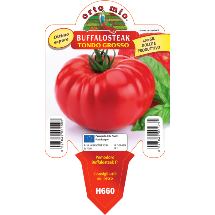 TOMATE GIGANTE REDONDO var. BUFFALOSTEAK F1