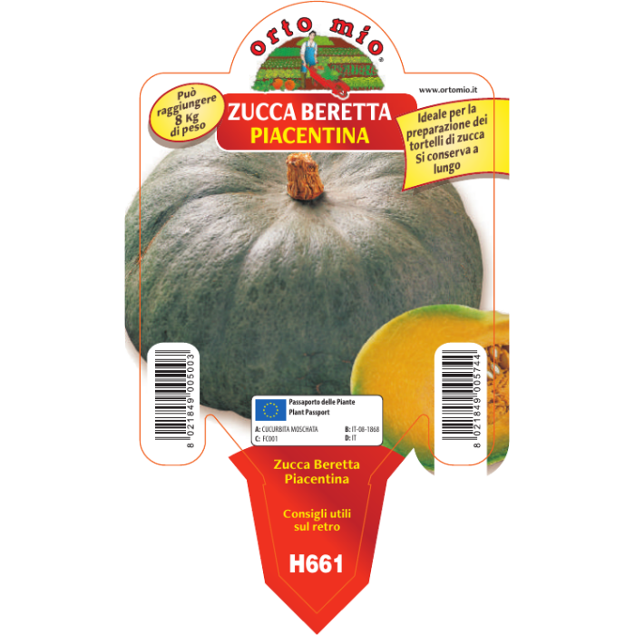 CALABAZA BERETTA PIACENTINA
