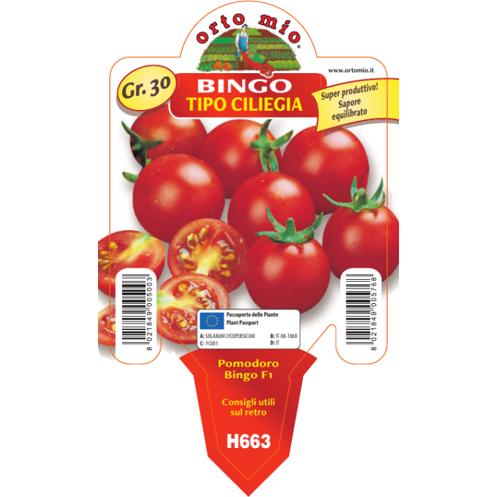 TOMATE CERECILLA BINGO var. TWITTER F1 (Tipo Pachino)