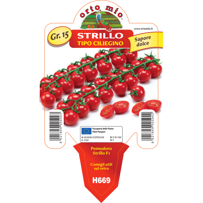 TOMATE CERECILLA DULCE var. STRILLO F1