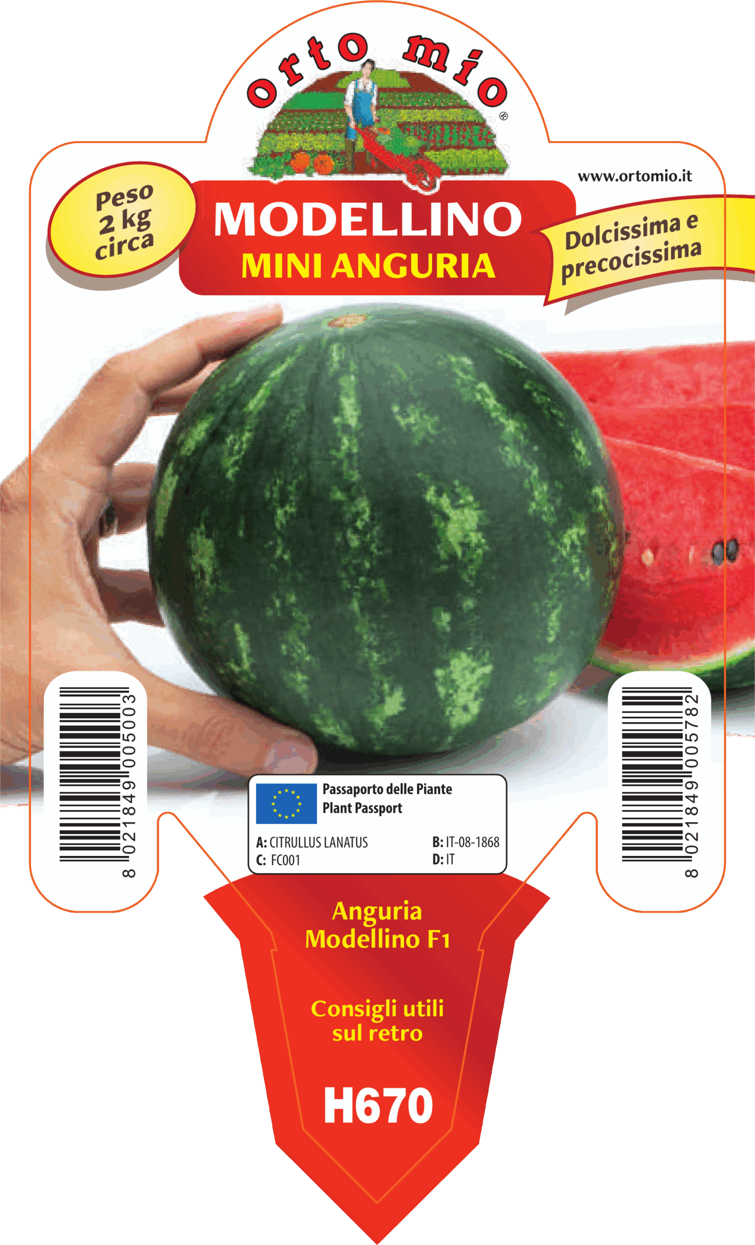SANDIA MINI MODELLINO var. COMETA F1
