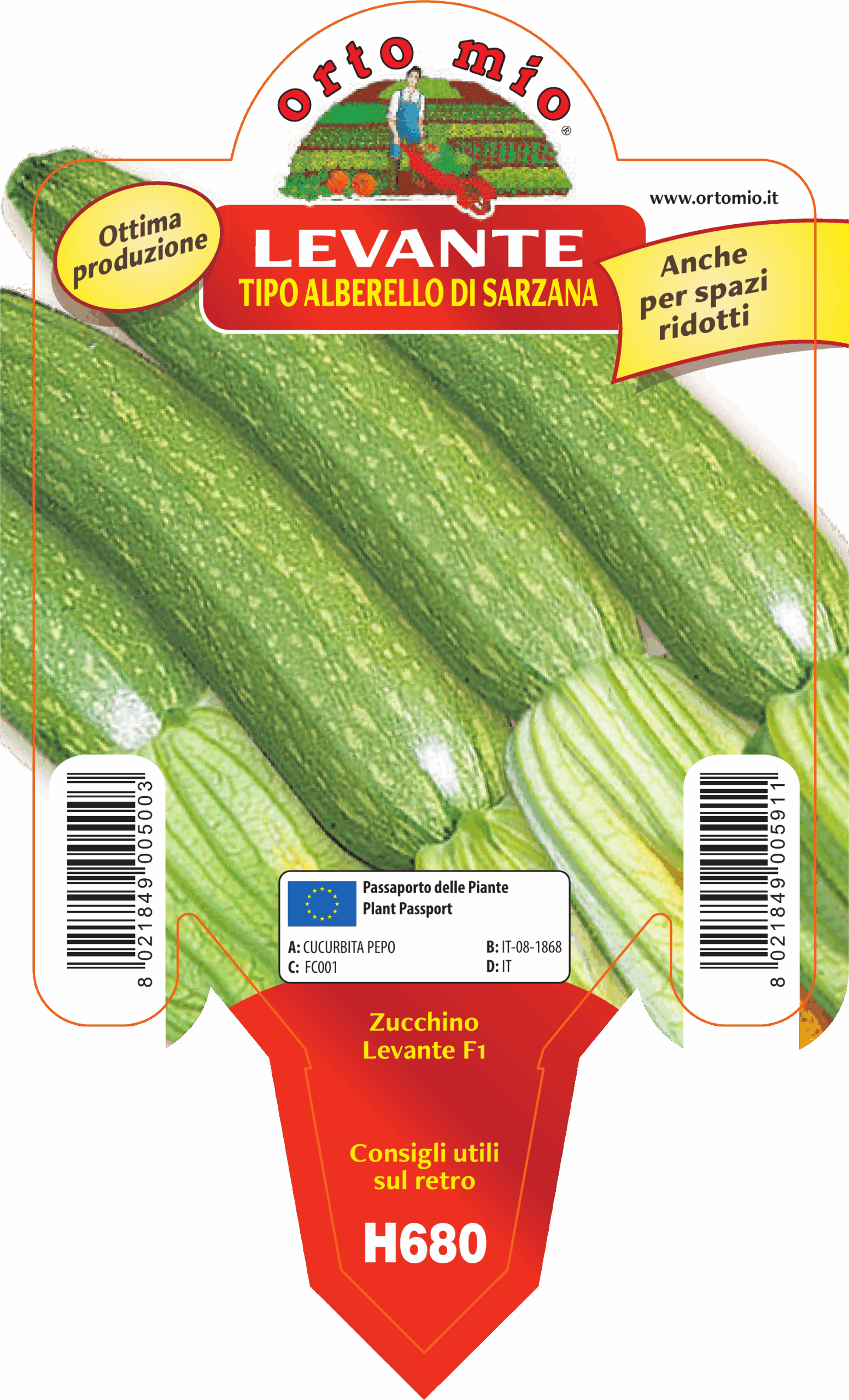 CALABACÍN ALBERELLO DE SARZANA var. LEVANTE F1