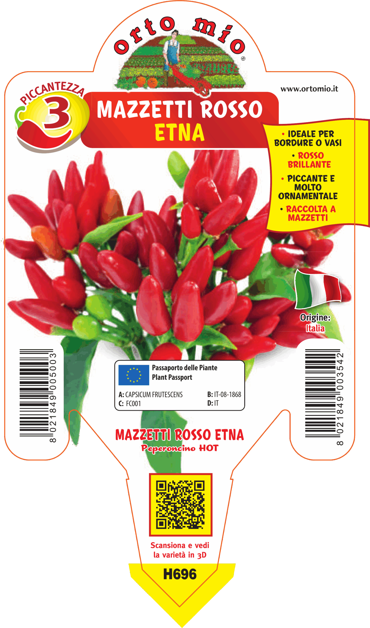 PIMIENTO PICANTE MANOJOS ROJOS var. ETNA