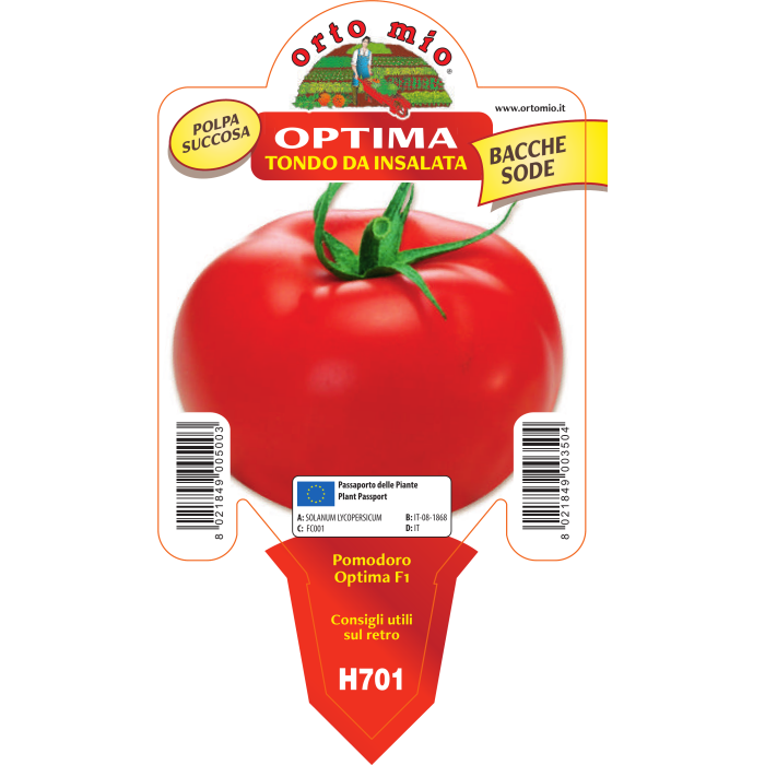 TOMATE REDONDO DE ENSALADA var. OPTIMA F1