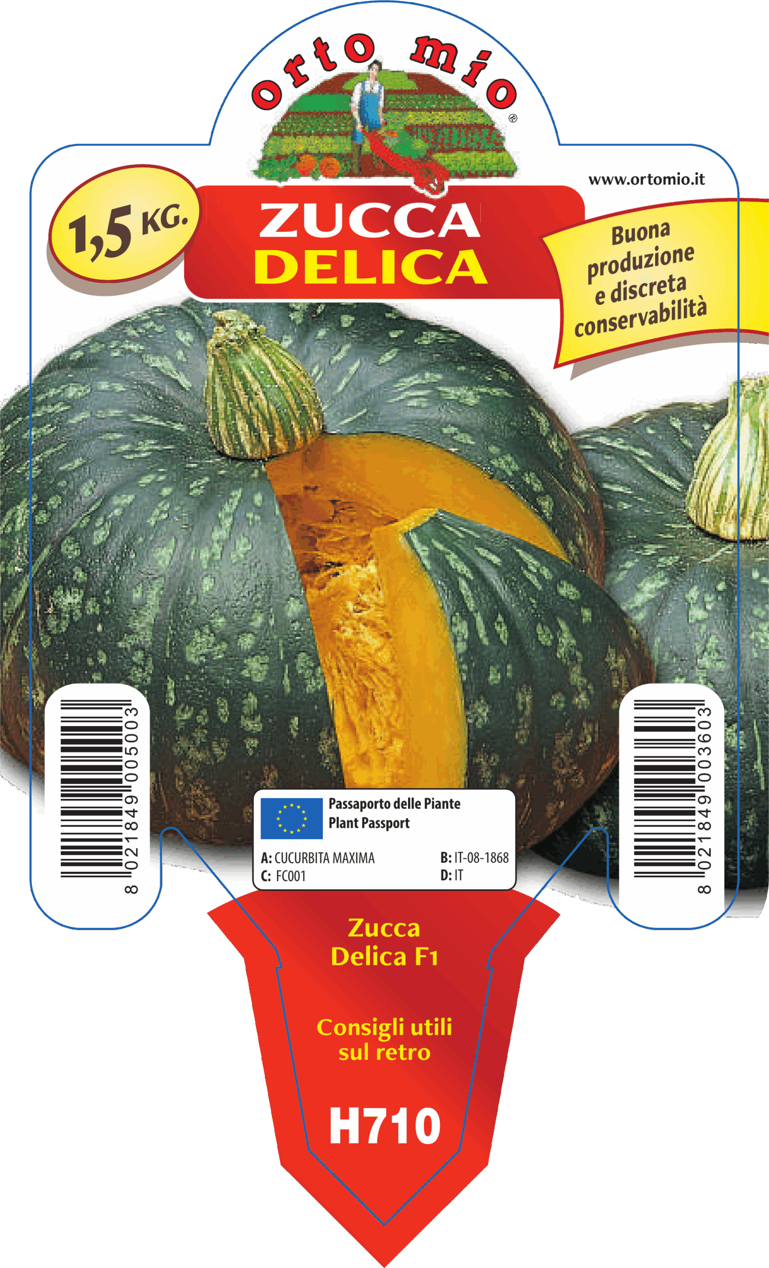 CALABAZA REDONDA var. DELICA F1