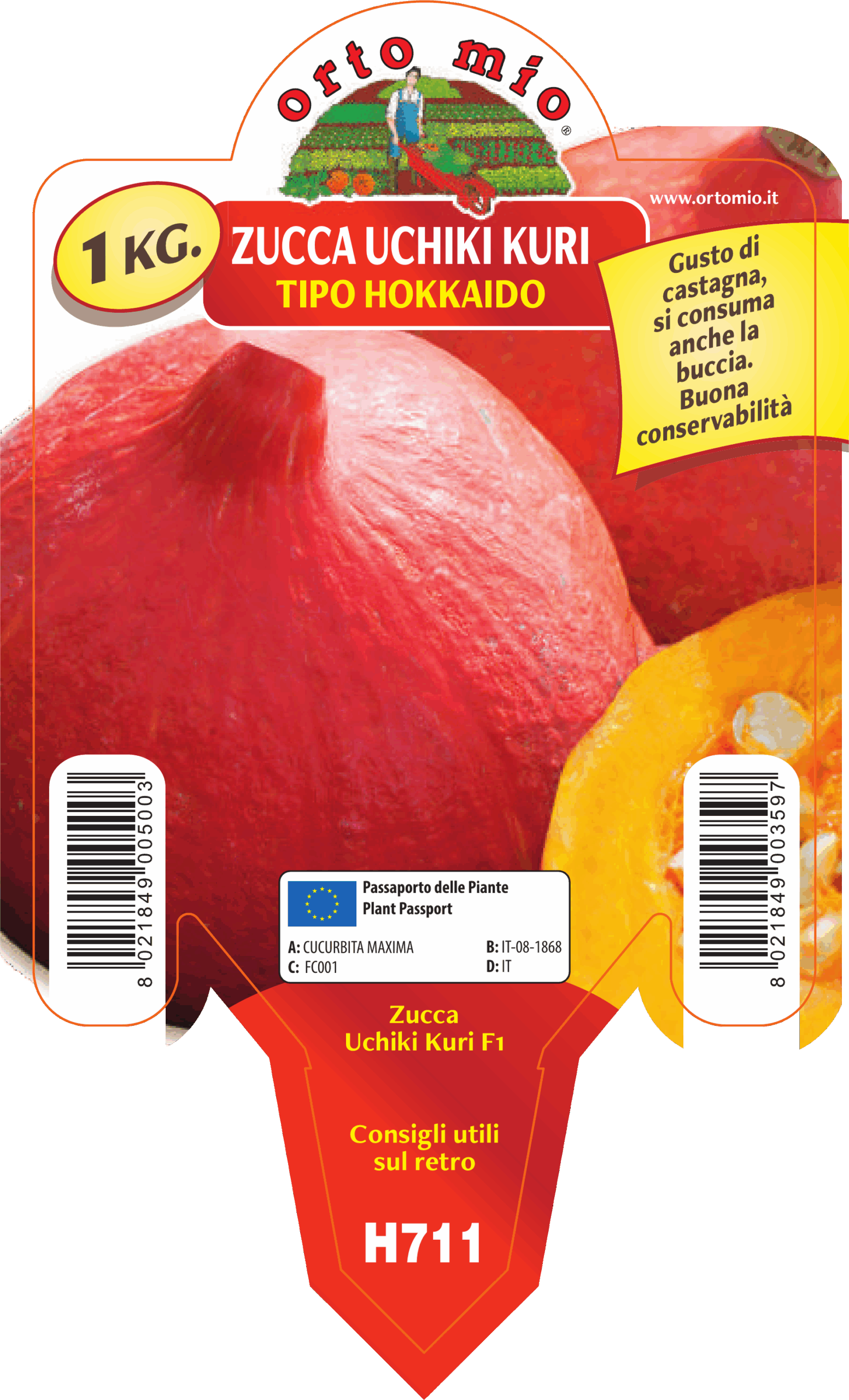 CALABAZA DULCE PEQUEÑA HOKKAIDO var. UCHIKI KURI F1