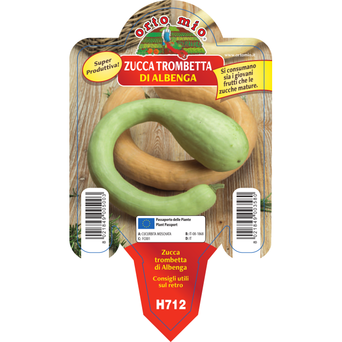 CALABAZA TROMPETA DE ALBENGA