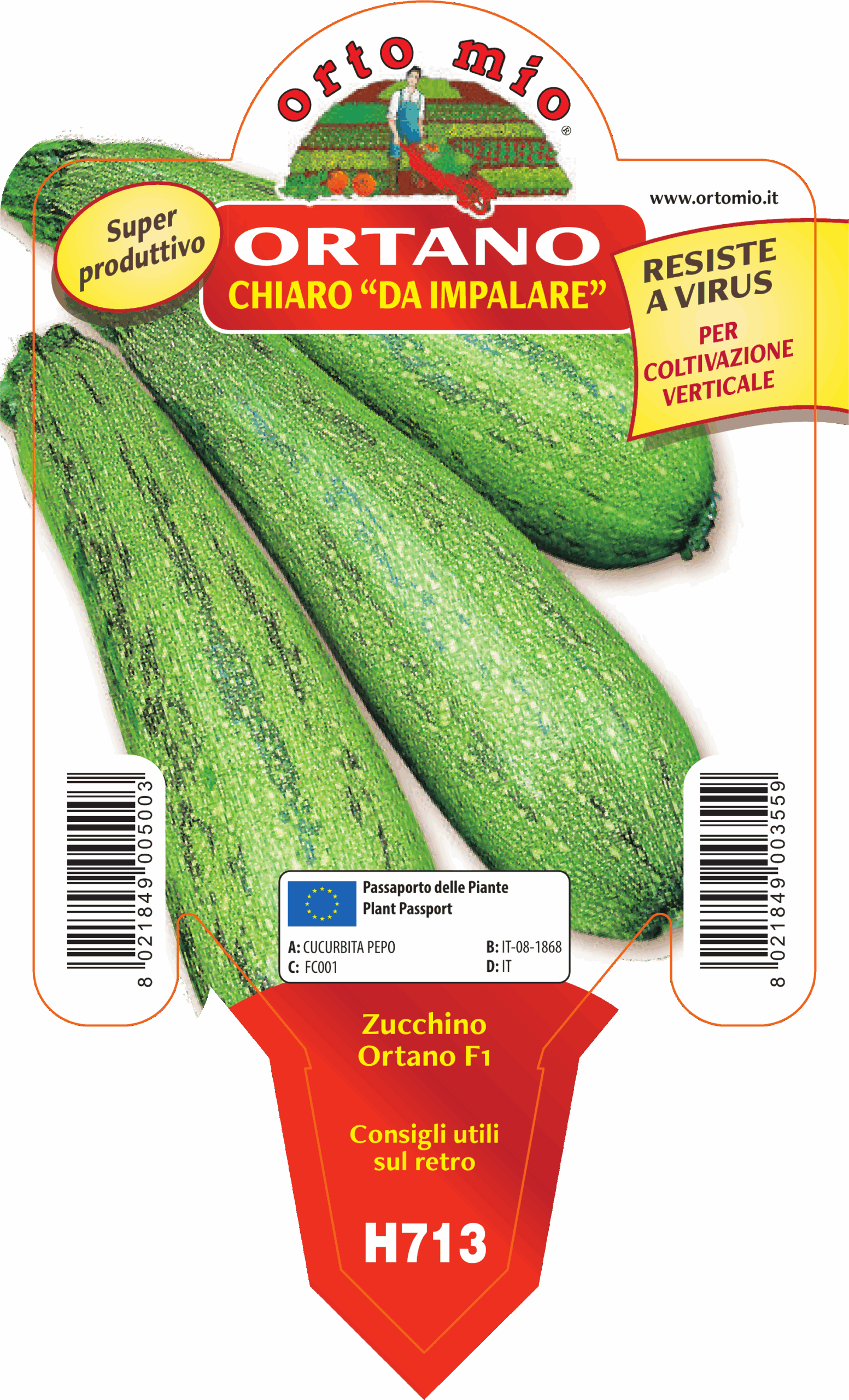 CALABACÍN CLARO TREPADOR var. ORTANO F1