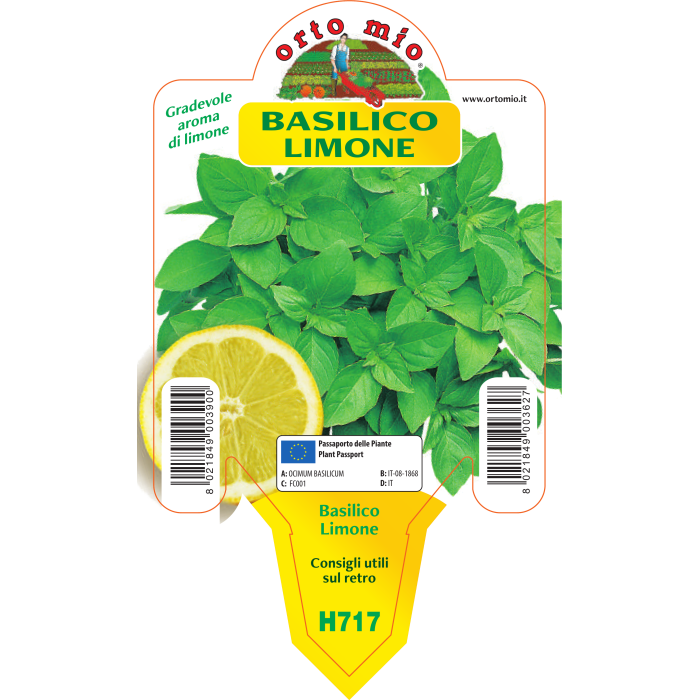 ALBAHACA AL LIMÓN