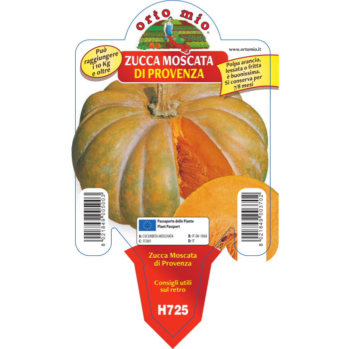 CALABAZA MOSCATA DE PROVENZA