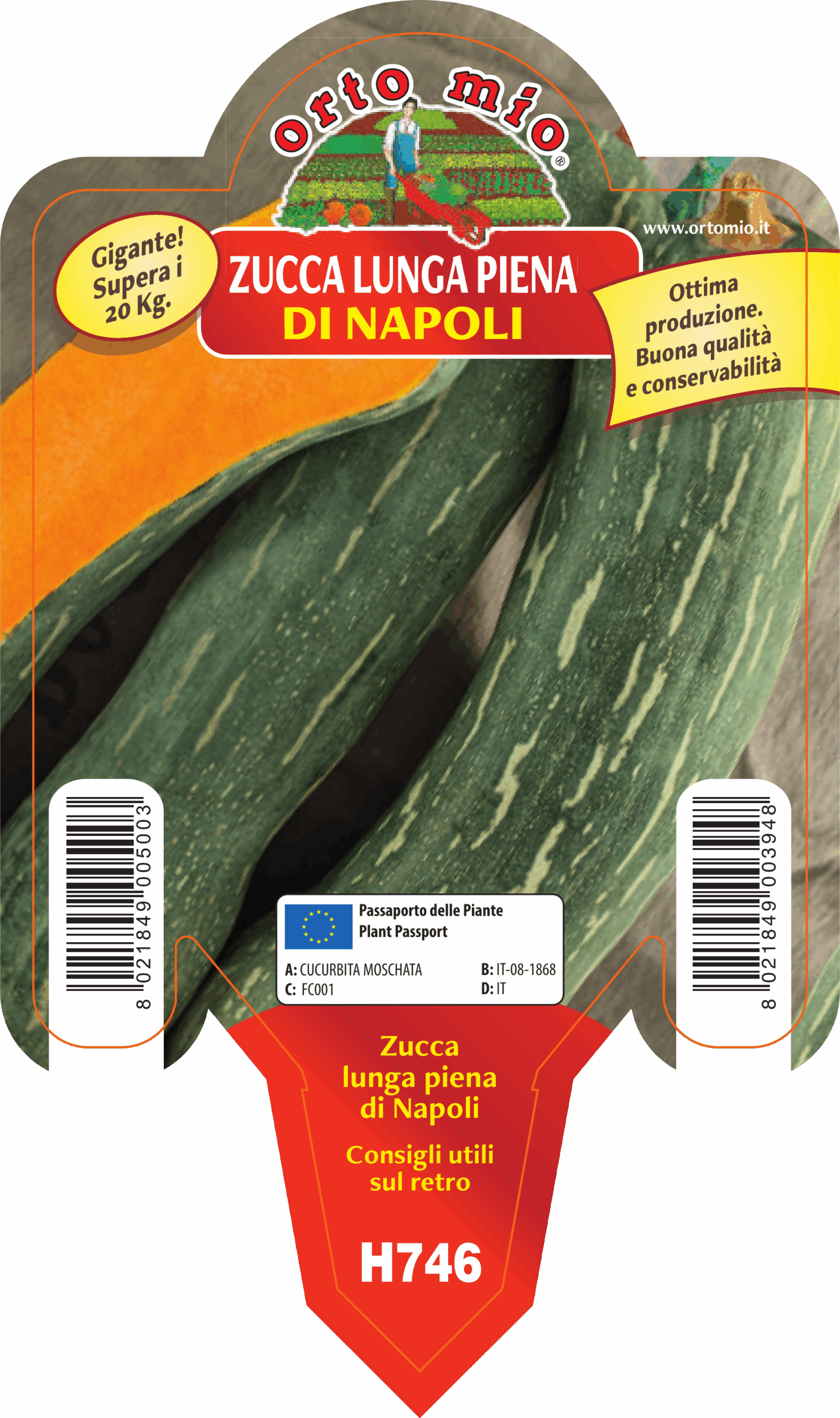 CALABAZA LARGA LLENA DE NAPOLES