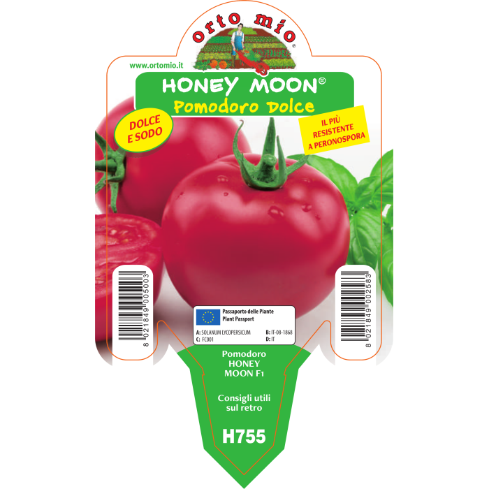 TOMATE DULCE var. HONEY MOON F1