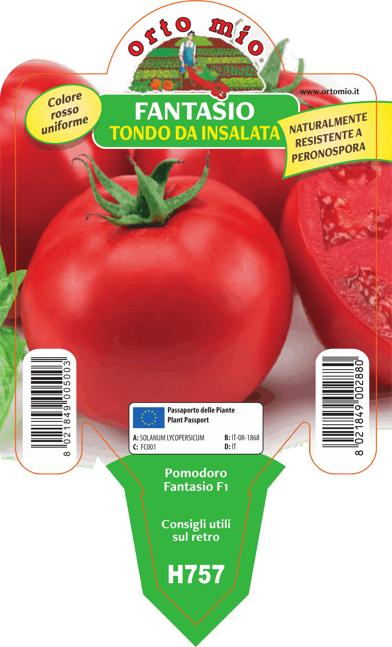 TOMATE var. FANTASIO F1