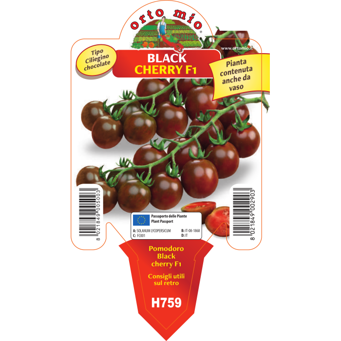 TOMATE CERECILLA CHOCOLATE var. LUTHER F1 (Ex Black cherry)