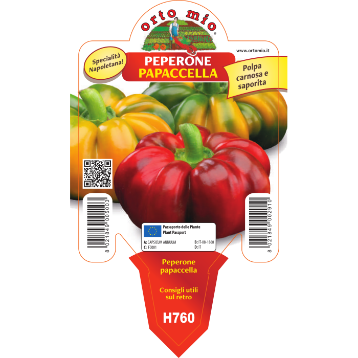 PIMIENTO PAPACCELLA O NAPOLITANO
