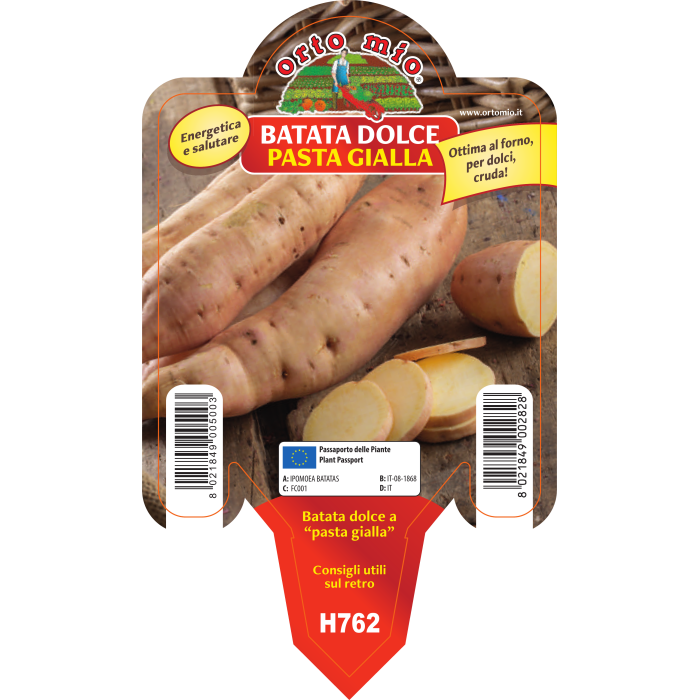 BATATA DULCE AMERICANA MIX EN 3 COLORES - Imagen 2