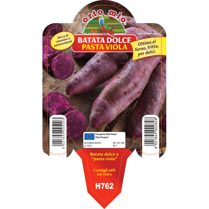 BATATA DULCE AMERICANA MIX EN 3 COLORES - Imagen 3