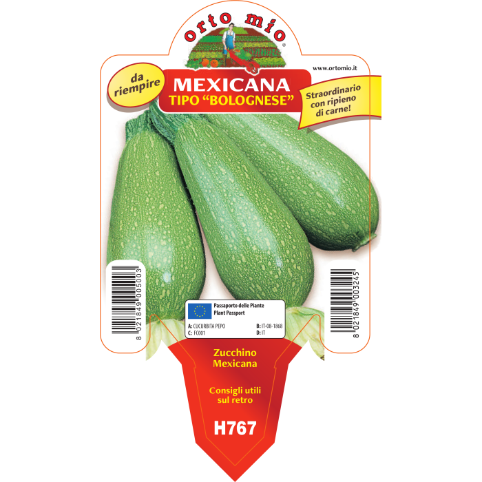 CALABACÍN BOLOGNESE var. MEXICANA F1
