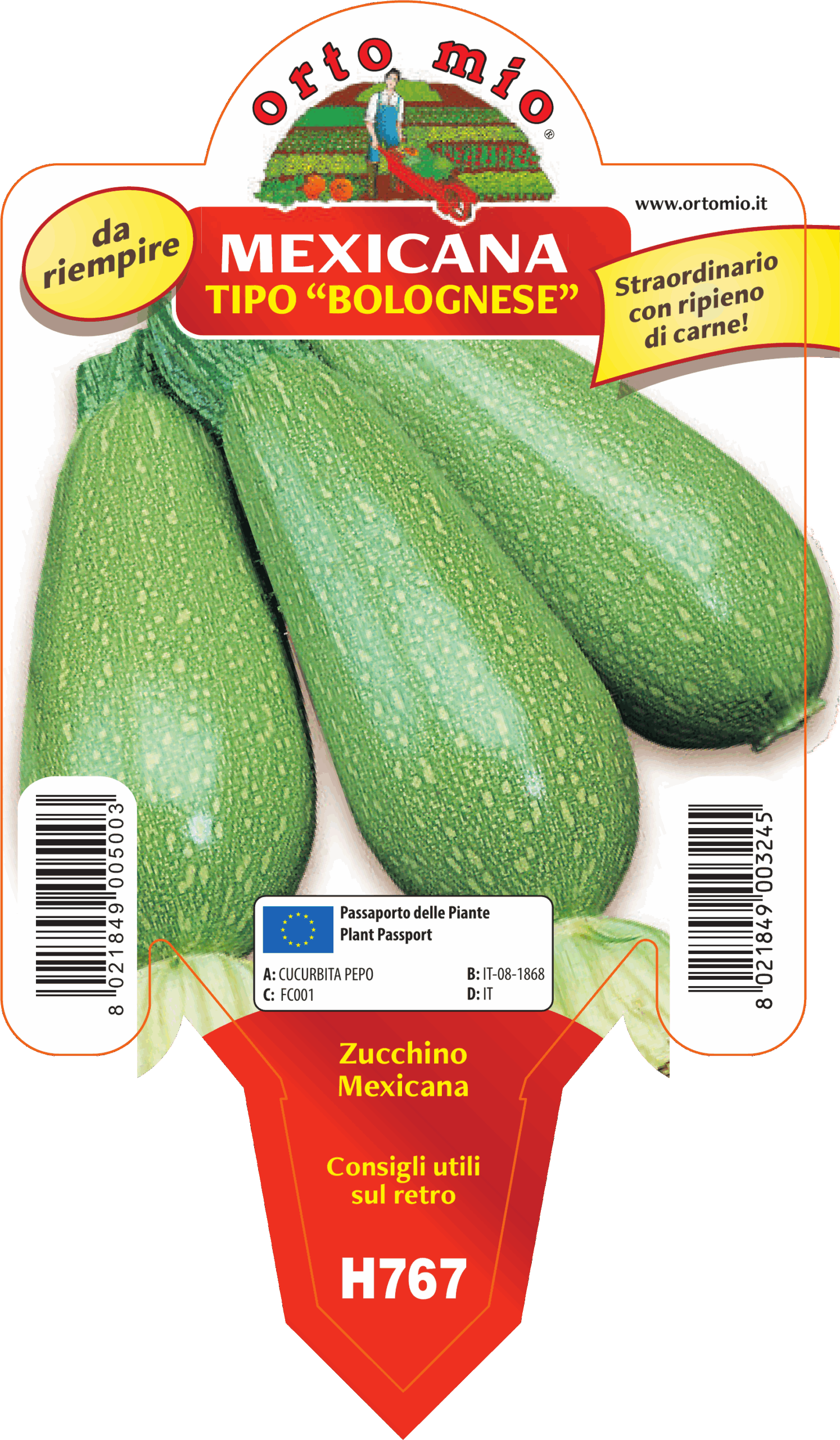 CALABACÍN BOLOGNESE var. MEXICANA F1