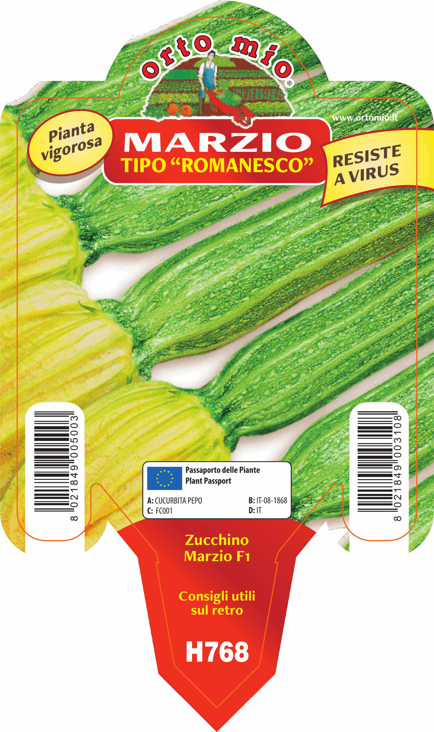 CALABACÍN ROMANESCO CON FLOR var. MARZIO F1