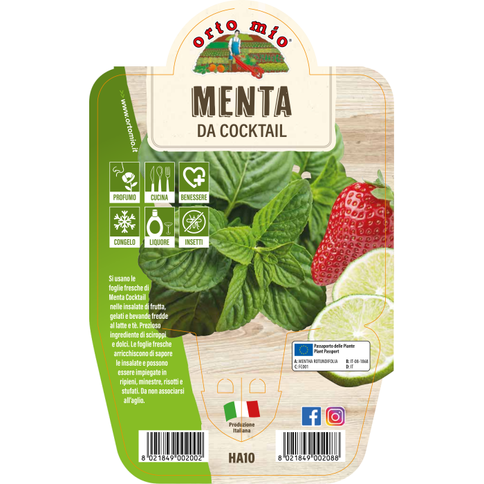 AROMÁTICA MENTA DE COCKTEL