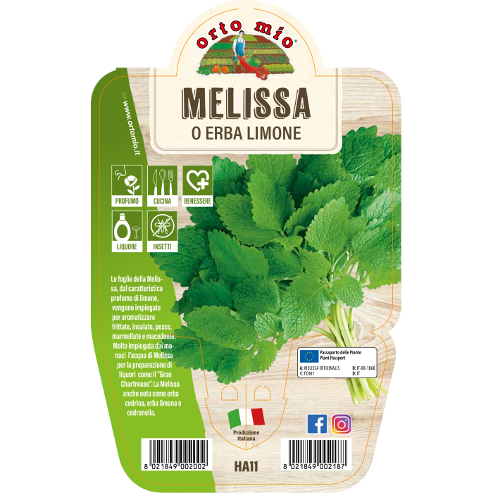 AROMÁTICA MELISA