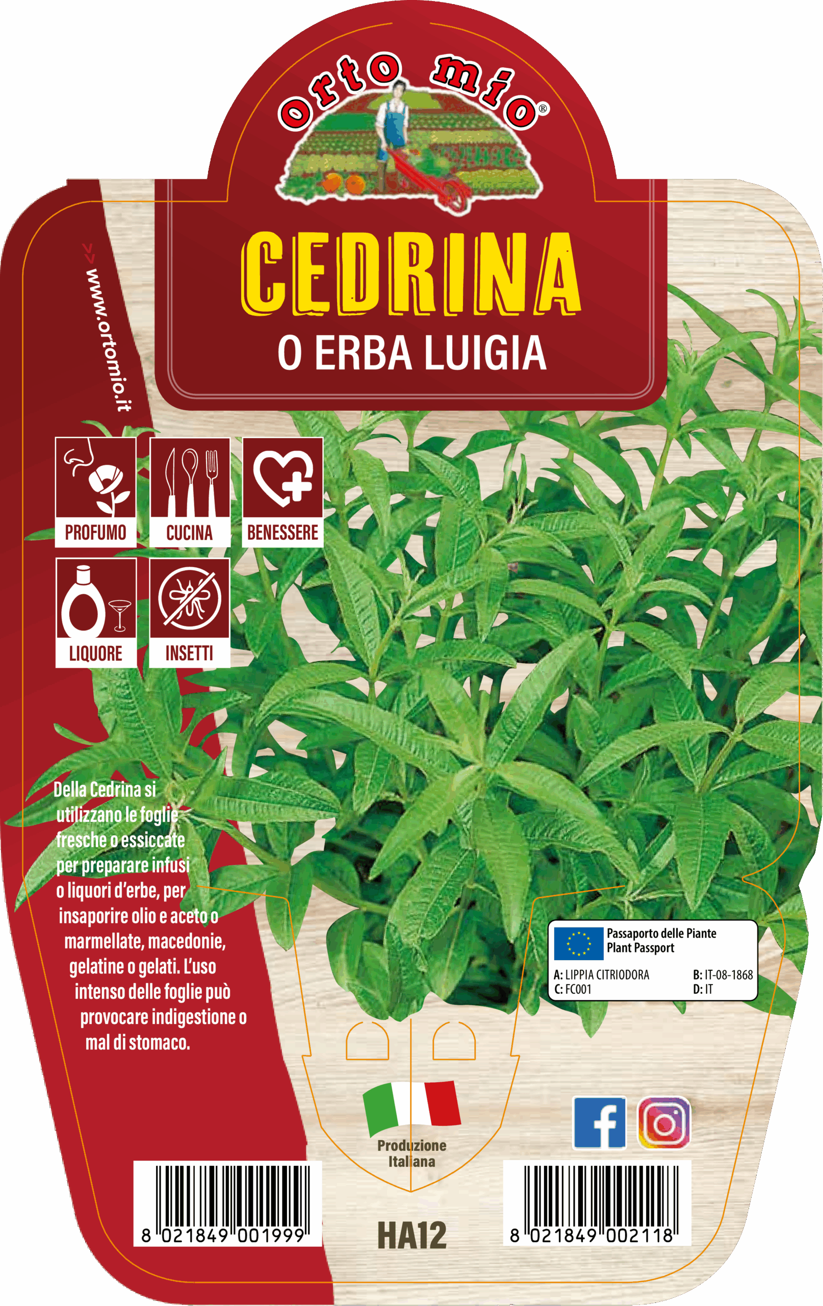 AROMÁTICA HIERBA LUISA (VERBENA)