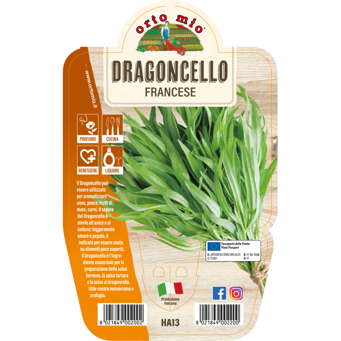 AROMÁTICA ESTRAGÓN