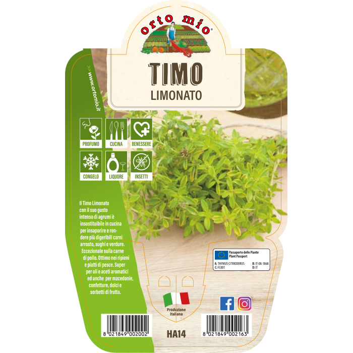 AROMÁTICA TOMILLO LIMONERO