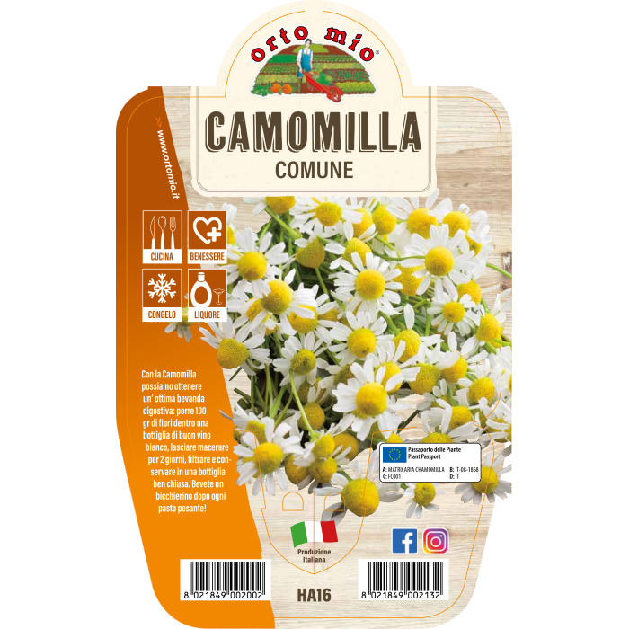 AROMÁTICA MANZANILLA COMÚN