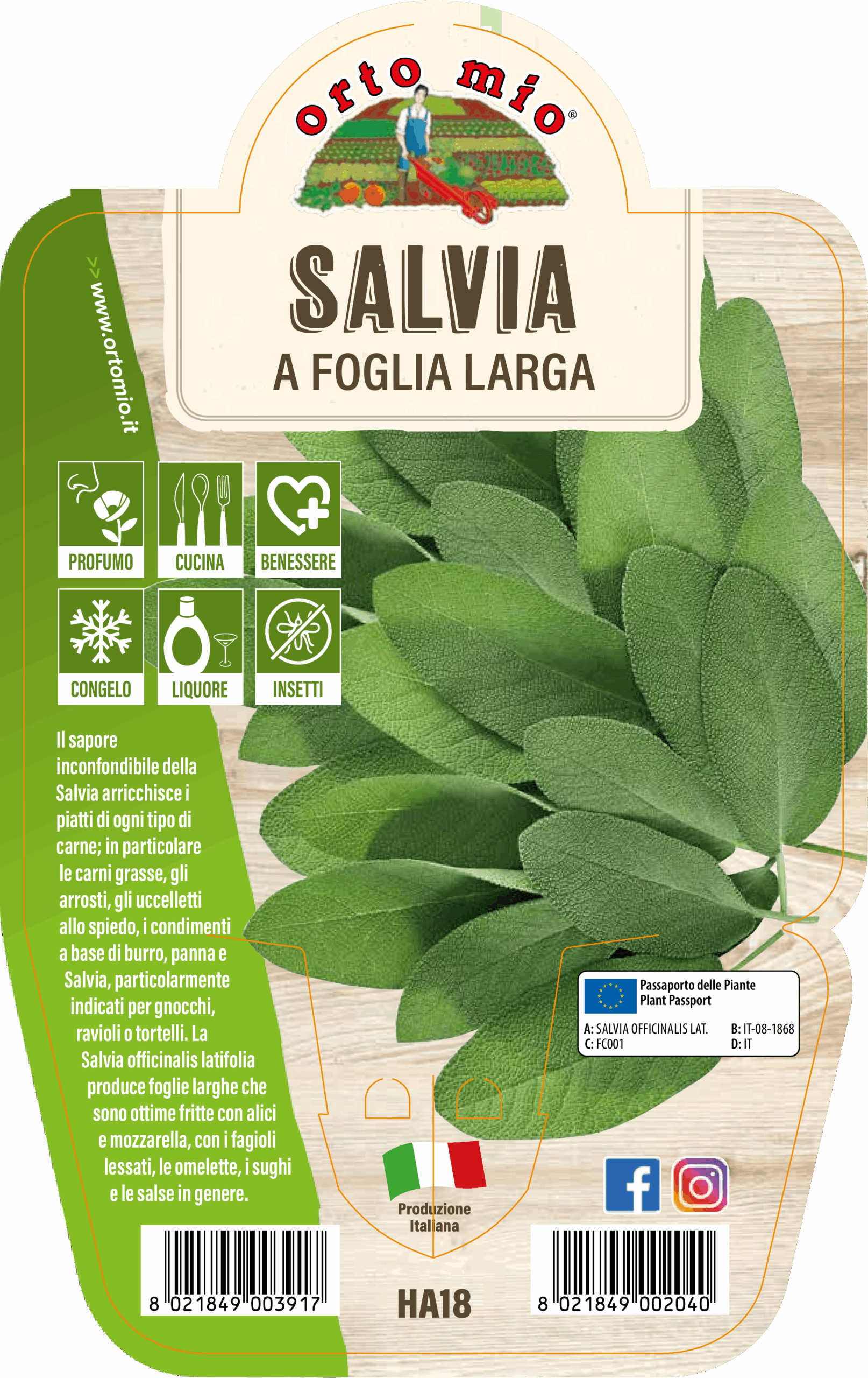 AROMÁTICA SALVIA HOJA LARGA