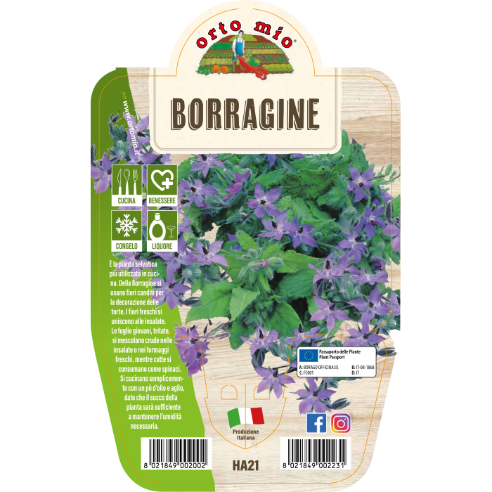 AROMÁTICA BORRAJA