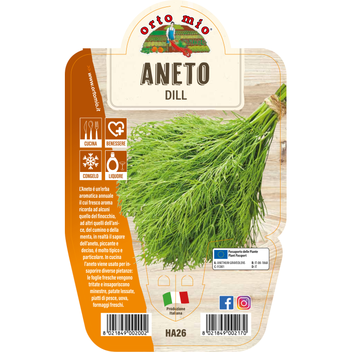 AROMÁTICA ENELDO
