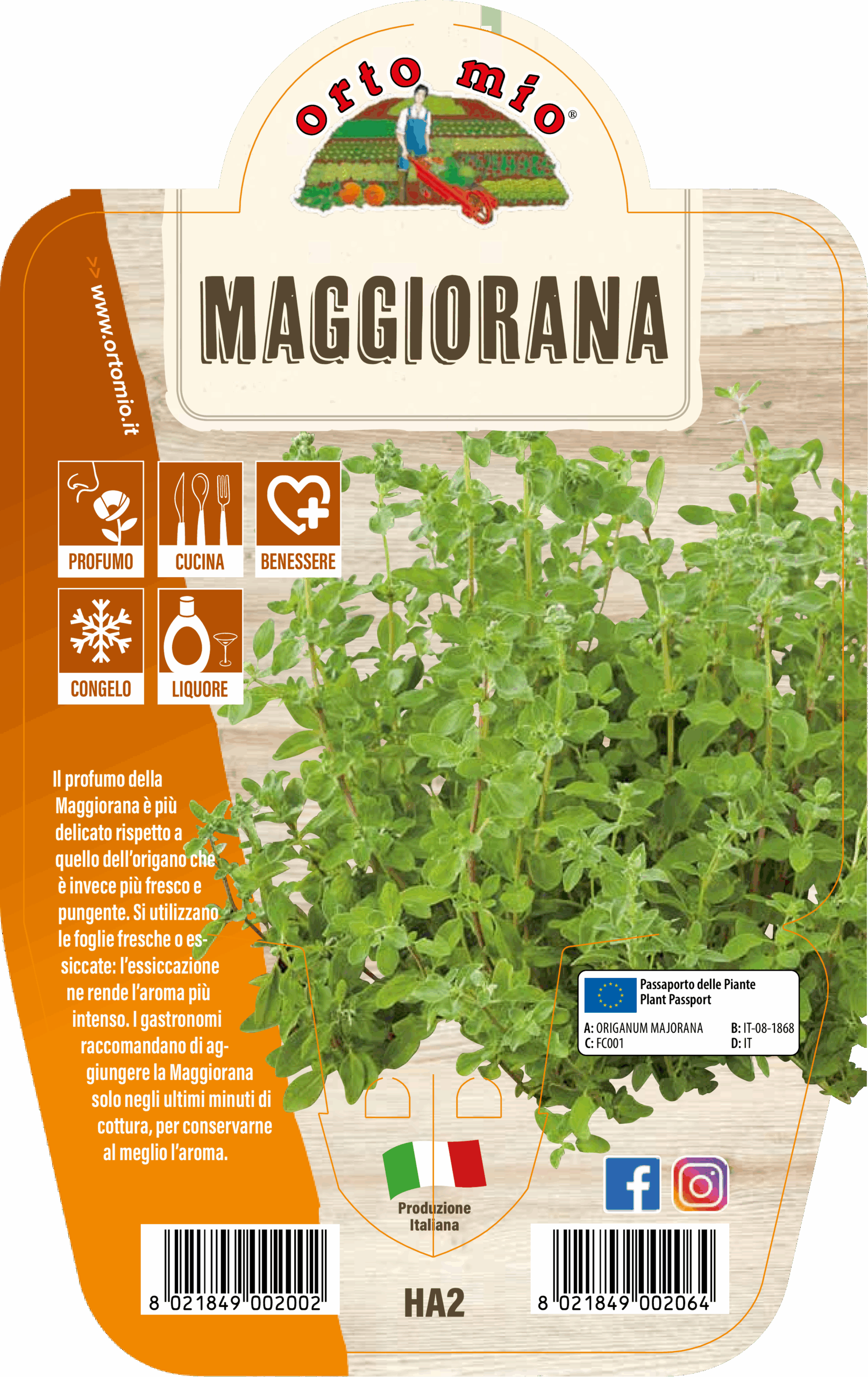 AROMÁTICA MEJORANA