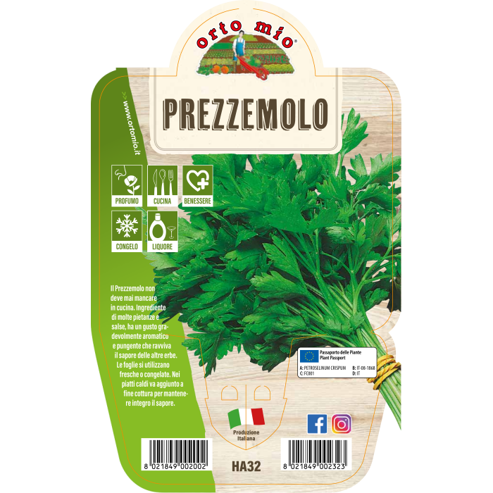 AROMÁTICA PEREJIL GIGANTE