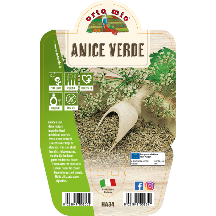 AROMÁTICA ANÍS