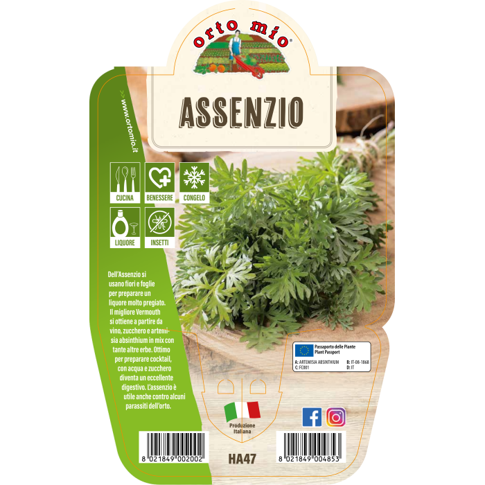 AROMÁTICA AJENJO