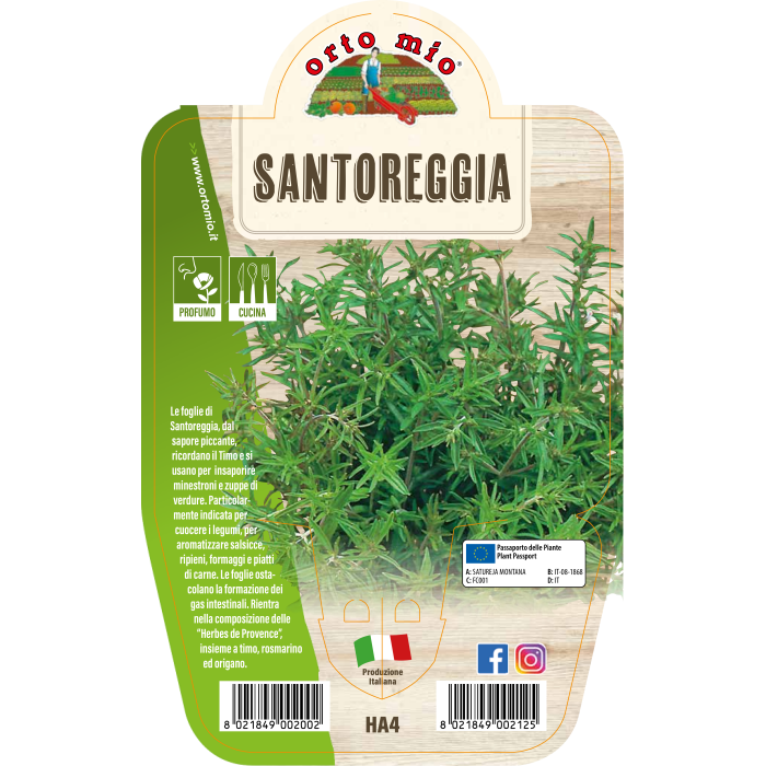 AROMÁTICA AJEDREA BLANCA