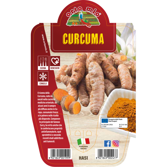 AROMÁTICA CÚRCUMA