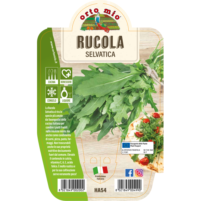 AROMÁTICA RÚCULA SELVATICA