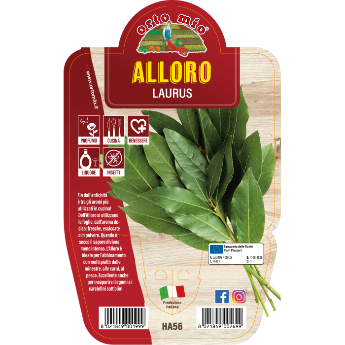 AROMÁTICA LAUREL