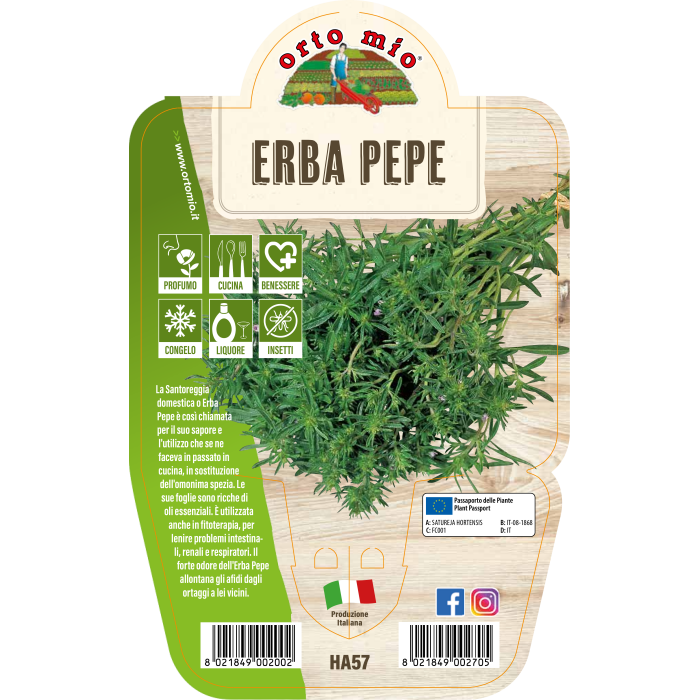 AROMÁTICA HIERBA PIMIENTA