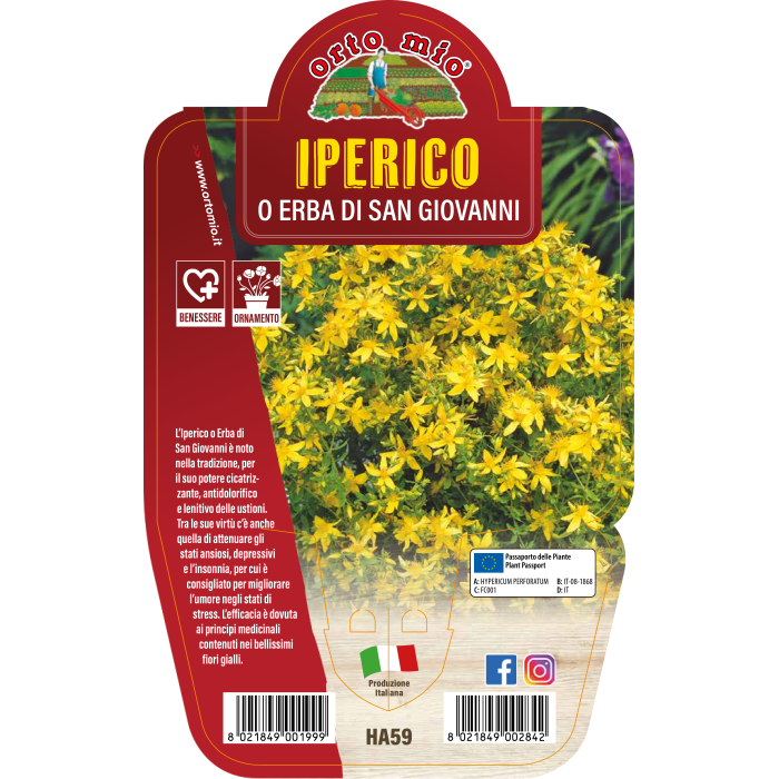 AROMATICA IPERICO HIERBA DE SAN GIOVANNI