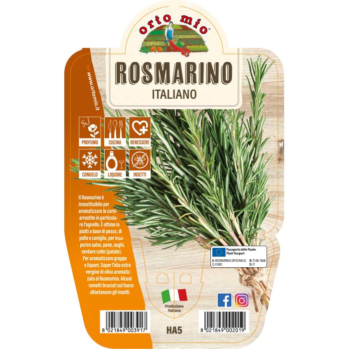 AROMÁTICA ROMERO OFFICINALIS