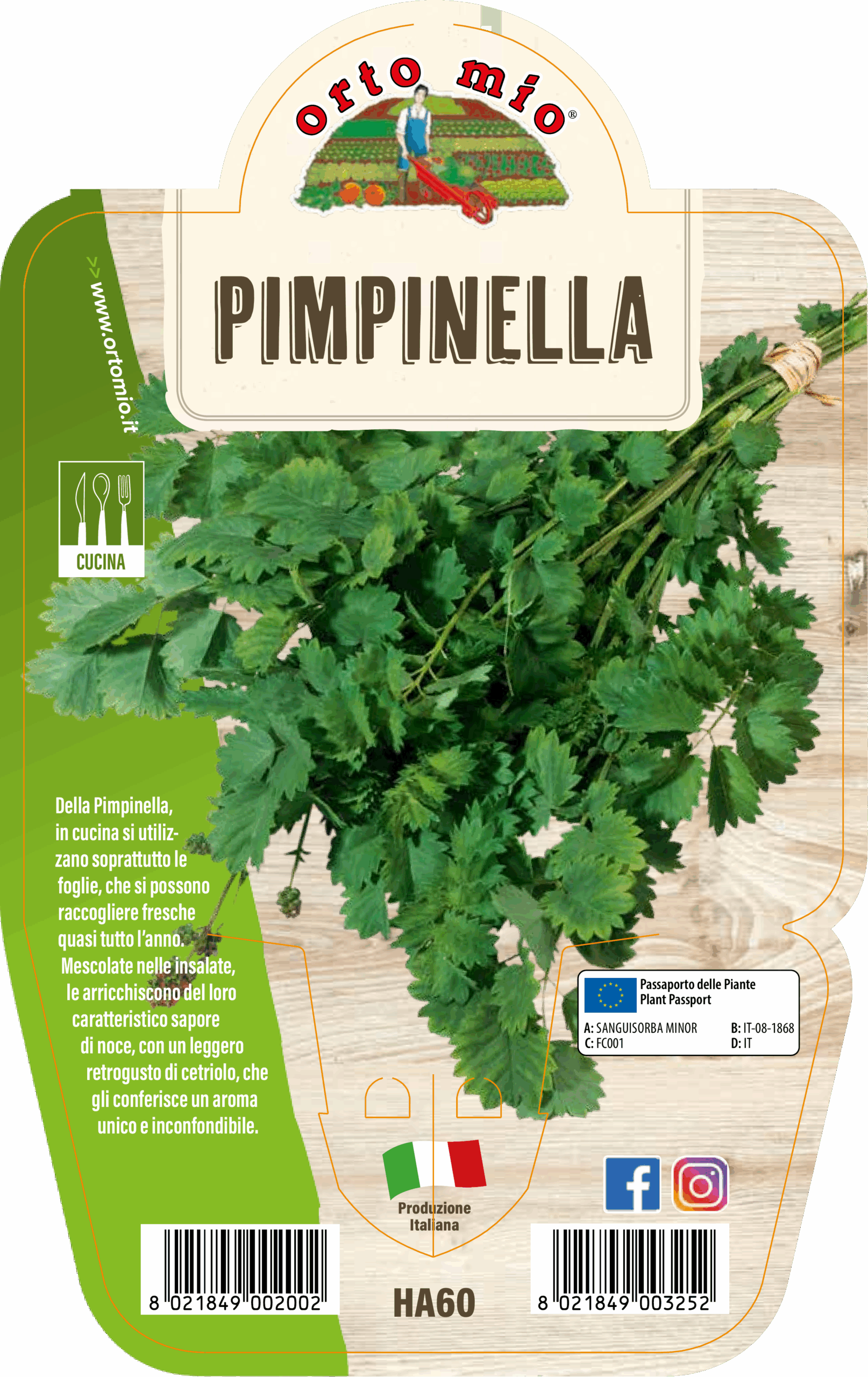 PIMPINELLA