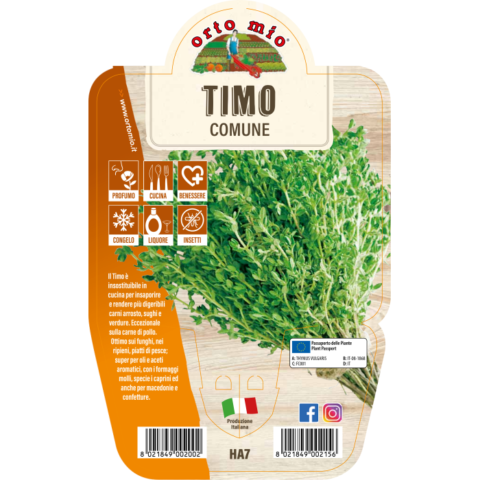 AROMÁTICA TOMILLO COMÚN