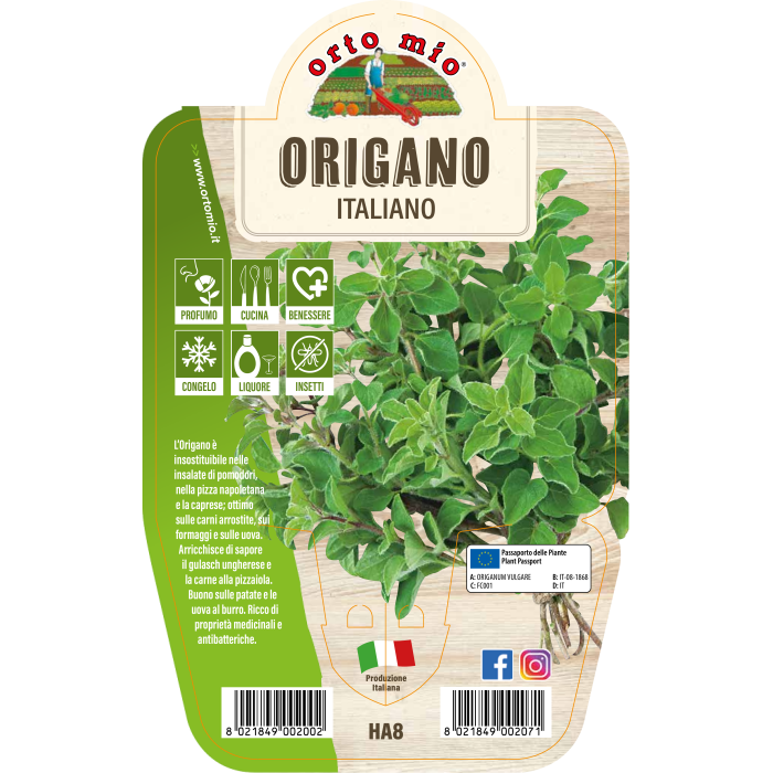 AROMÁTICA ORÉGANO